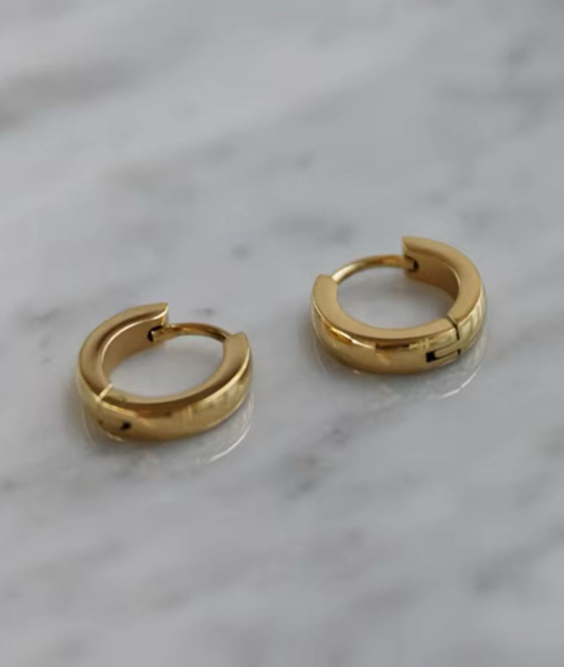 Nude Rose Stainless Steel 18K Gold Flat Tiny Hoop Earring 