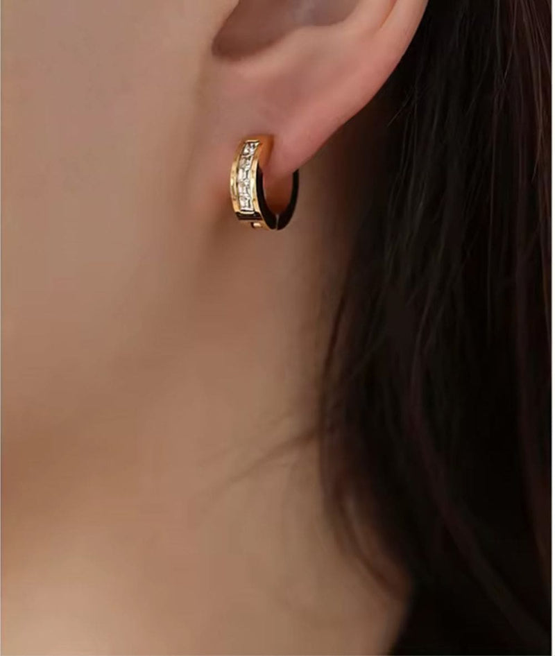 Nude Rose Stainless Steel 18K Gold Wide Small Cubic Earring 