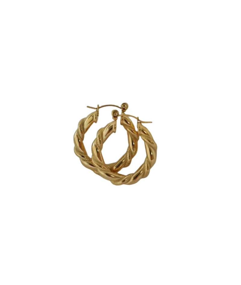 Nude Rose Stainless Steel 18K Gold Small Twisted Rope Earring 