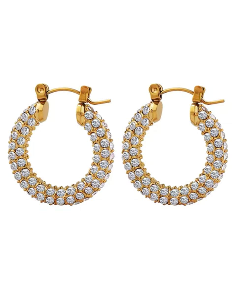 Nude Rose Stainless Steel 18K Gold Cubic Circle Bold Earring #E-259, ACCESSORIES JEWELRY FASHION - Cloré Beauty