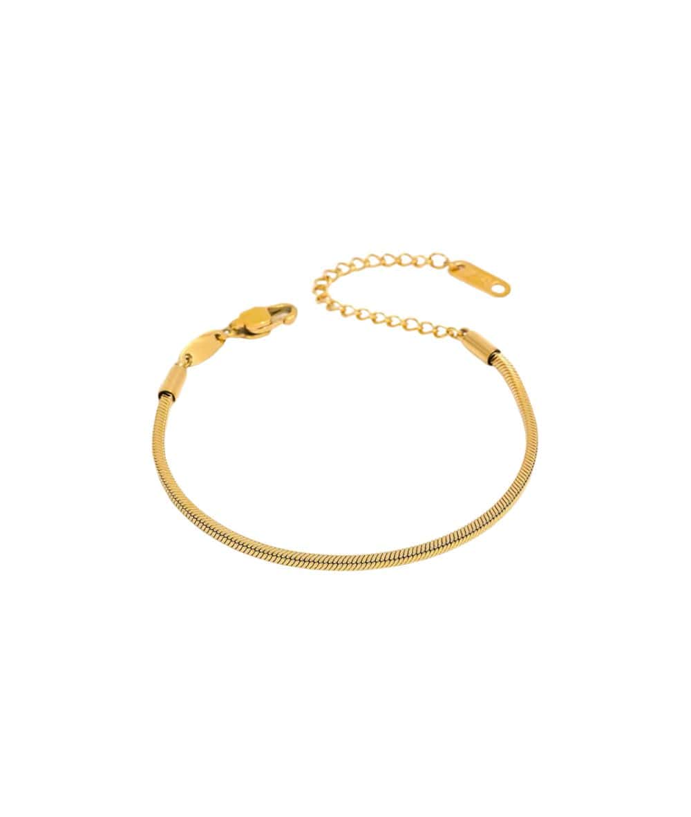 Nude Rose Stainless Steel 18K Gold Snake Chain Bracelet #B-022