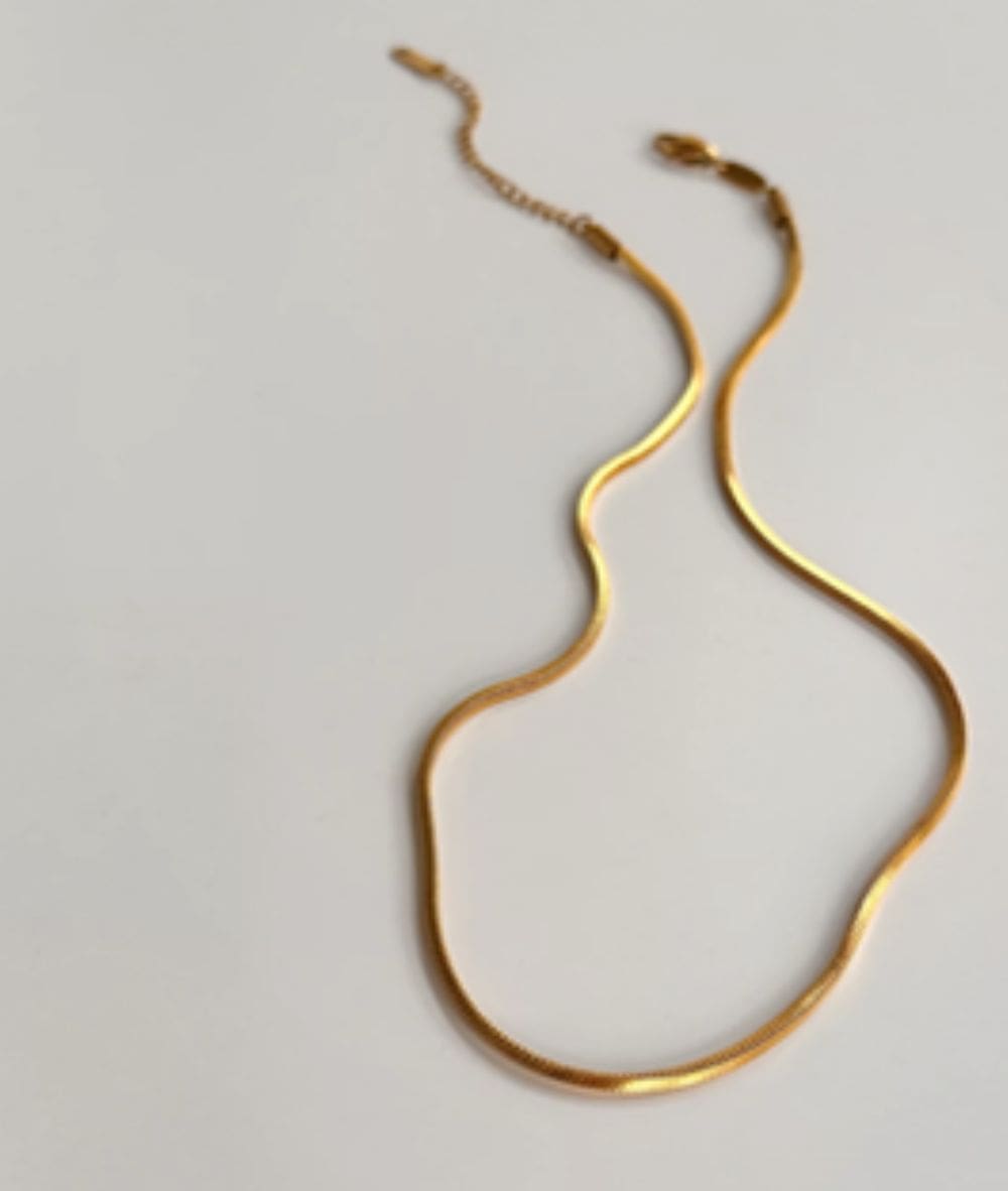 Nude Rose Stainless Steel 18K Gold Plated 1.5Mm Snake Chain Necklace #N-097, ACCESSORIES JEWELRY FASHION - Cloré Beauty