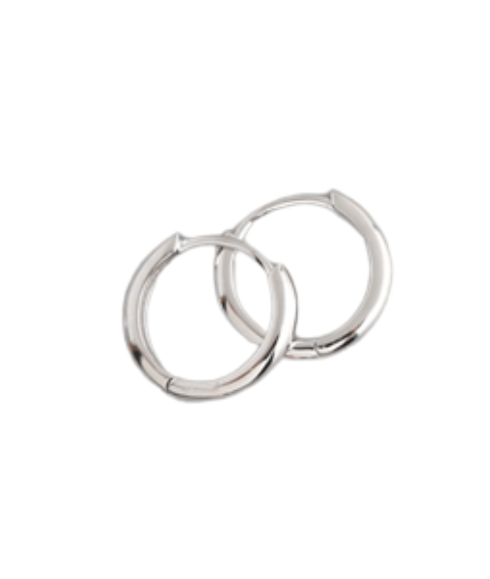 Nude Rose Stainless Steel Silver Hoop Earrings, Accessory - Cloré Beauty