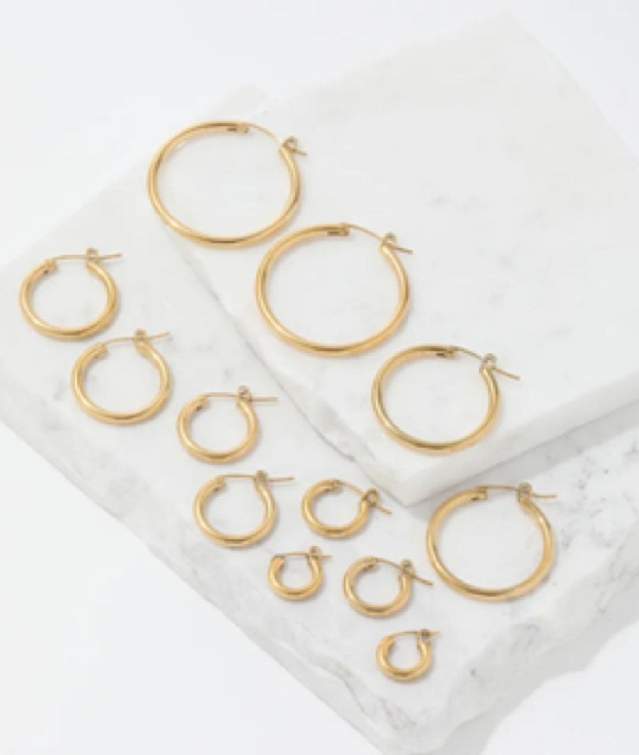 Nude Rose Stainless Steel 18K Gold Plated 35Mm Hoop Earrings #E