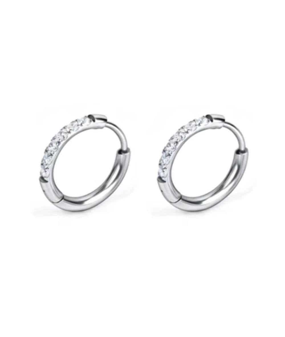 Nude Rose Stainless Steel Zicron 1.6* 12Mm Hoop Round Earrings