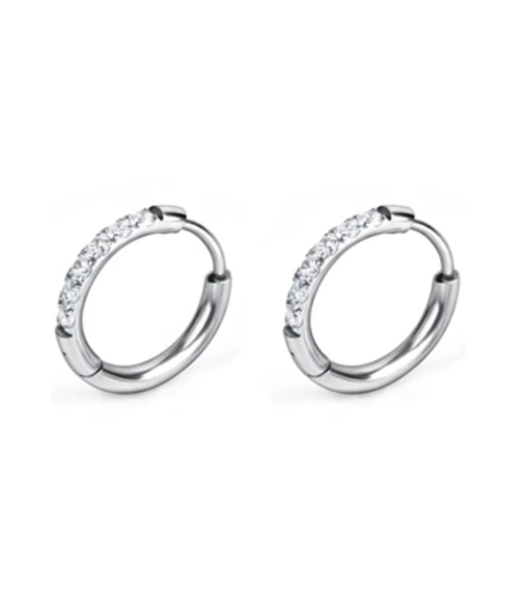 Nude Rose Stainless Steel Zicron 2* 14Mm Hoop Round Earrings