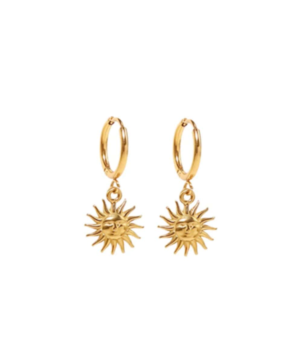 Nude Rose Stainless Steel 18K Gold Plated Vintage Chunky Hoop Earrings #E-413, ACCESSORIES JEWELRY FASHION - Cloré Beauty