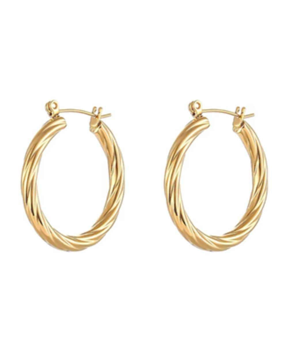 Nude Rose Stainless Steel 18K Gold Plated Double Twisted Hoop Earrings #E-452, Accessory - Cloré Beauty