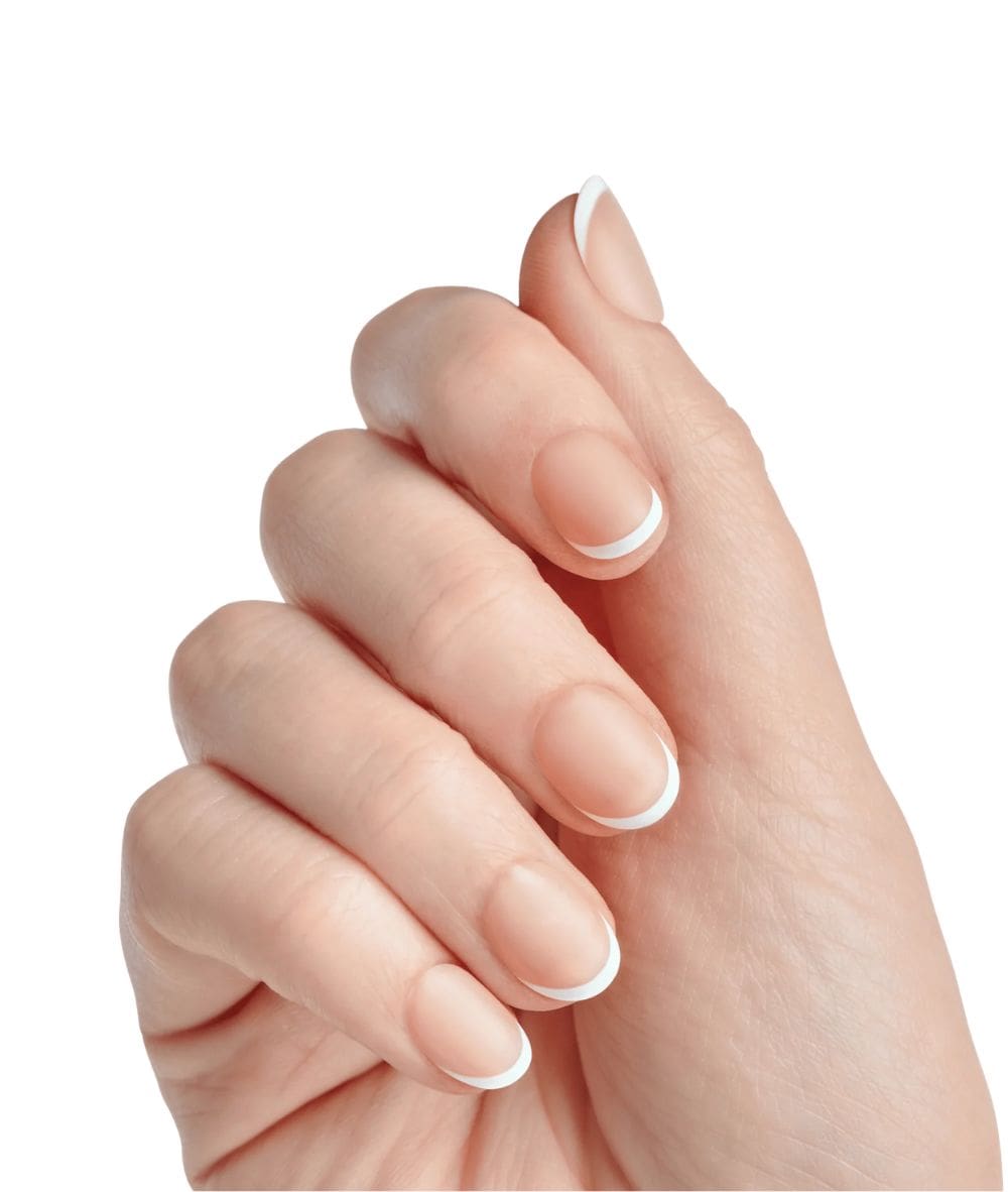 Kiss Salon Acrylic French [My Fly] #Sf04