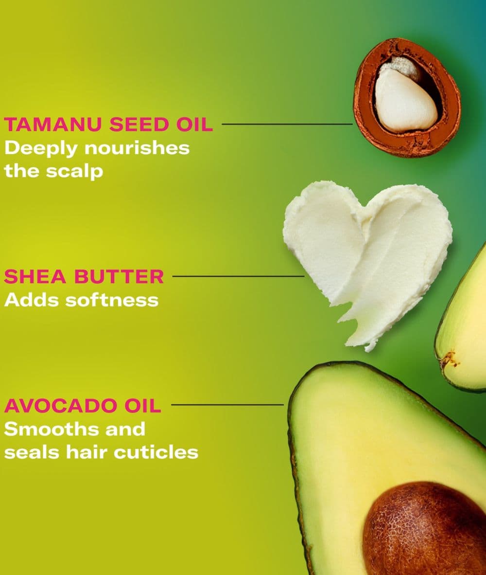 Mielle Avocado & Tamanu Anti-Frizz Conditioner 12oz