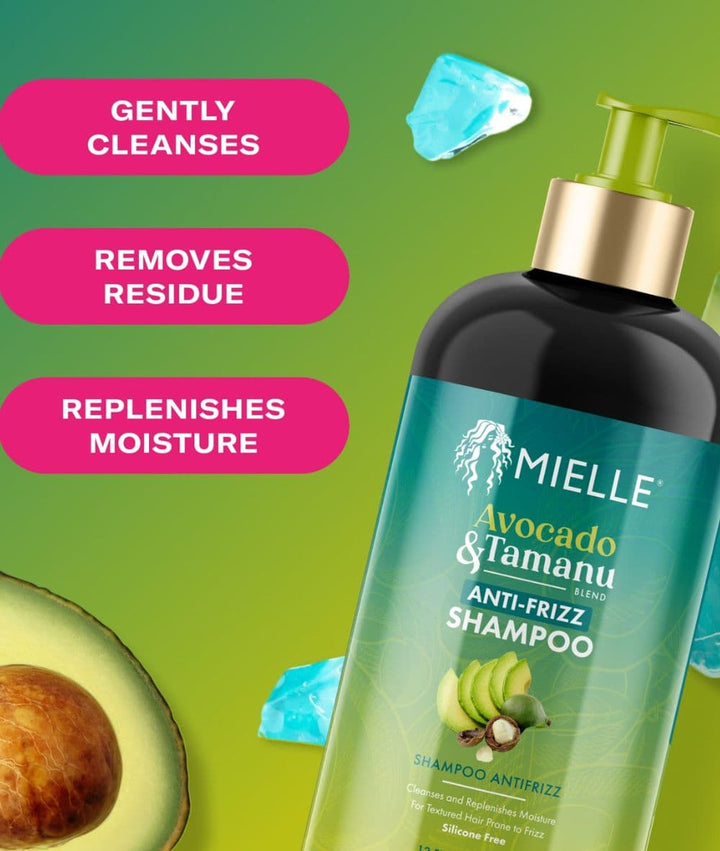 Mielle Avocado &amp; Tamanu Anti Frizz Shampoo 12oz, Hair Care - Cloré Beauty