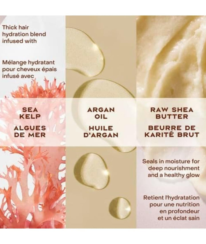 SheaMoisture Raw Shea Butter Deep Treatment Masque 325Ml, Hair Care - Cloré Beauty