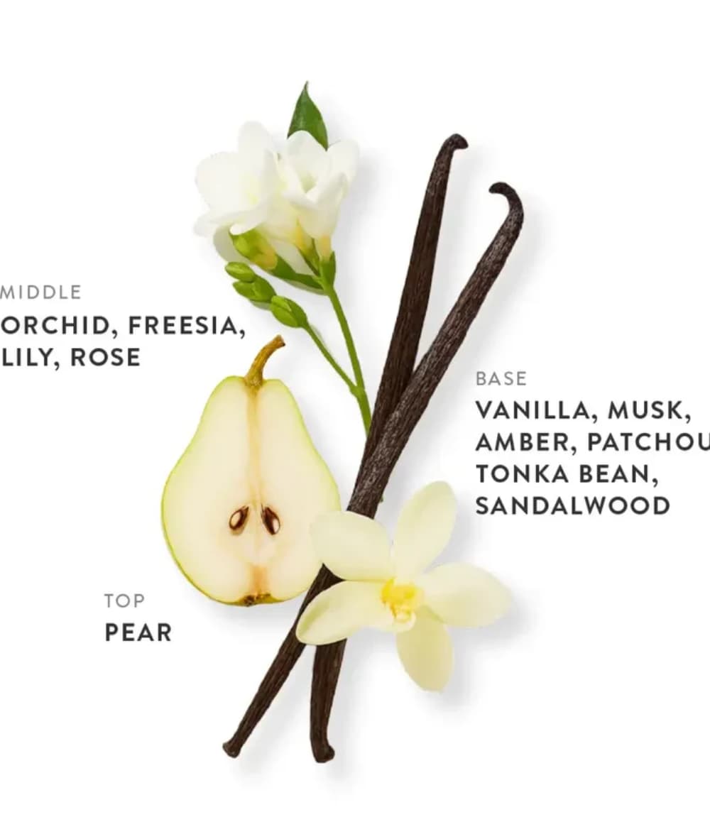 Etlee Signature Duo Mini Set Caramel &amp; Pistachio 