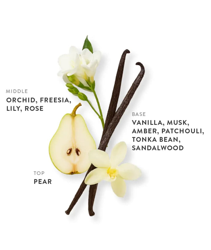 Etlee Signature Duo Mini Set French Vanilla 